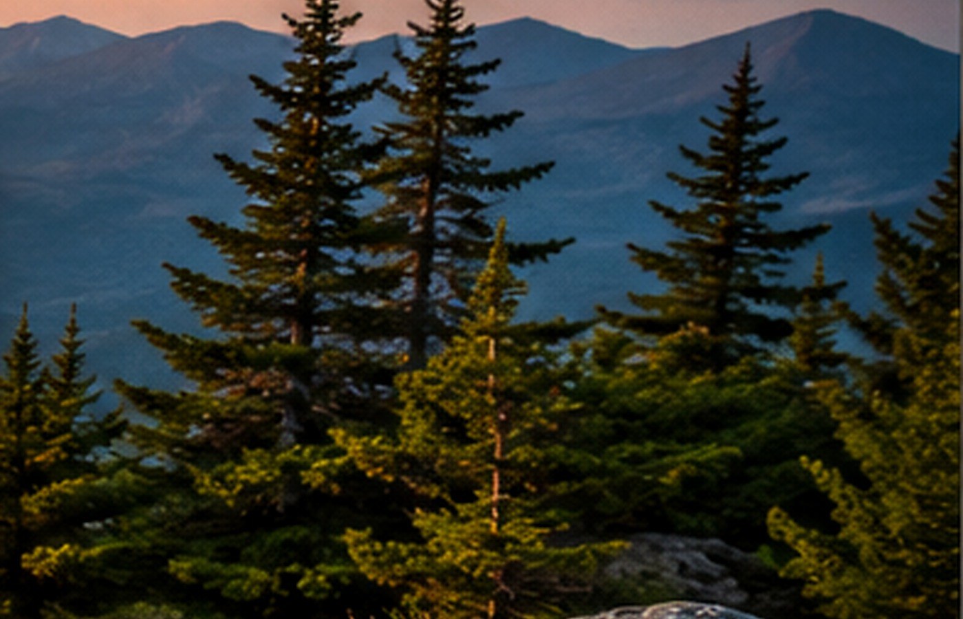 Evergreen trees above a mountain ridge.